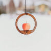 Petteri Wiimaa fuglemater Circle