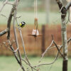 Petteri Wiimaa fuglemater Heart