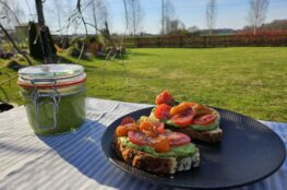 Skvallerkål- og hvitløkskuddpesto