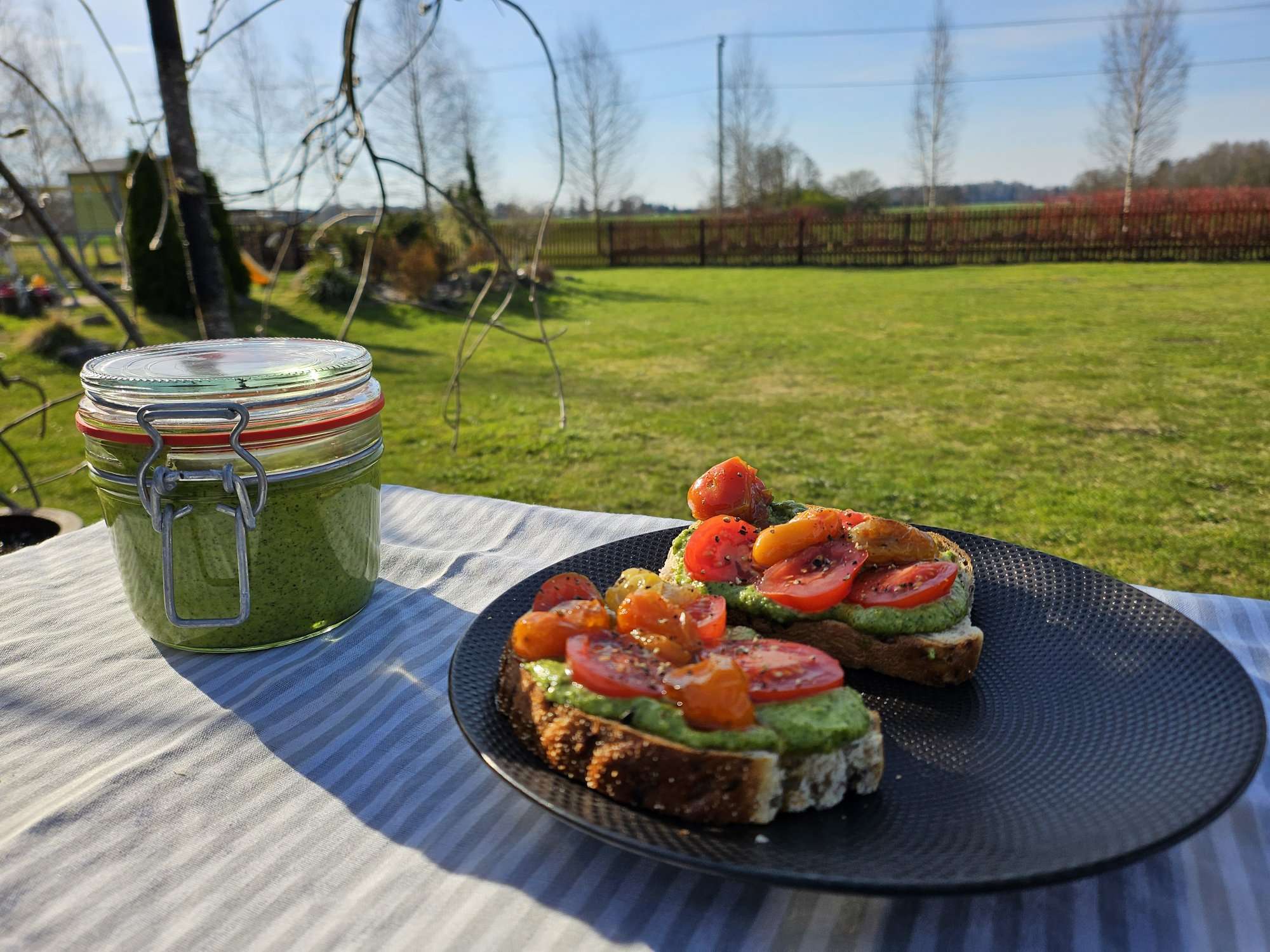 Skvallerkål- og hvitløkskuddpesto