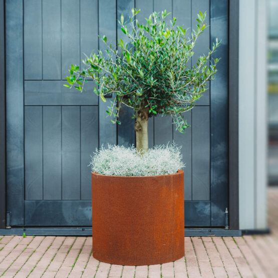 Cortenstål plantekasse Myy